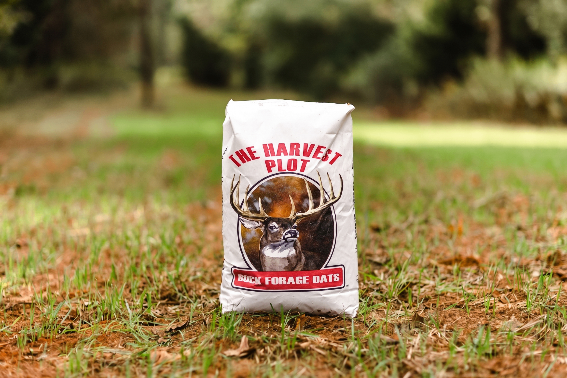 Buck Forage Oats bag