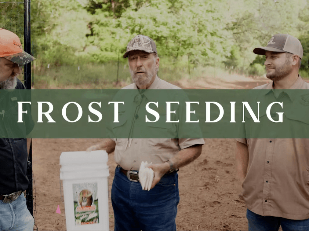 Frost Seeding